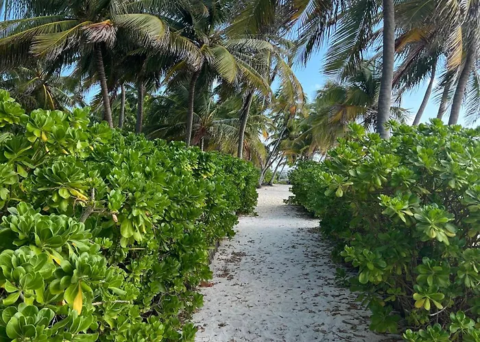 Sea View Ocean View With Pool By Floreo Holiday home San Pedro (Ambergris Caye)