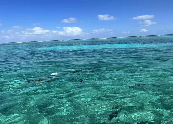 Holiday home Sea View Ocean View With Pool By Floreo San Pedro (Ambergris Caye)
